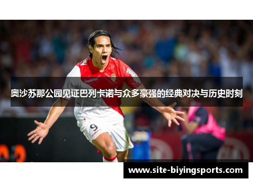 奥沙苏那公园见证巴列卡诺与众多豪强的经典对决与历史时刻