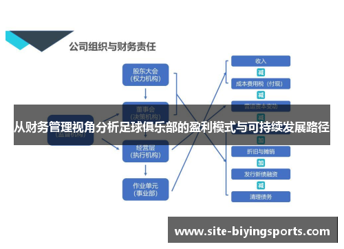 从财务管理视角分析足球俱乐部的盈利模式与可持续发展路径