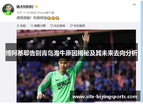 博阿基耶告别青岛海牛原因揭秘及其未来去向分析