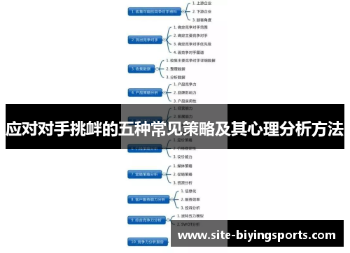 应对对手挑衅的五种常见策略及其心理分析方法