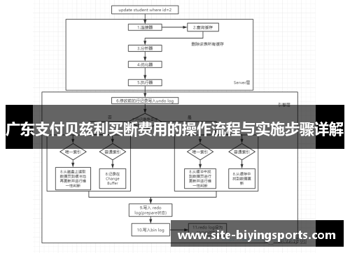 广东支付贝兹利买断费用的操作流程与实施步骤详解