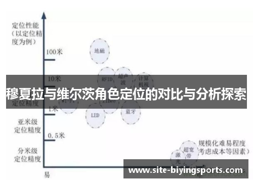 穆夏拉与维尔茨角色定位的对比与分析探索