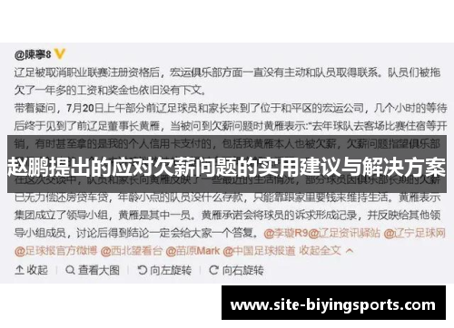 赵鹏提出的应对欠薪问题的实用建议与解决方案