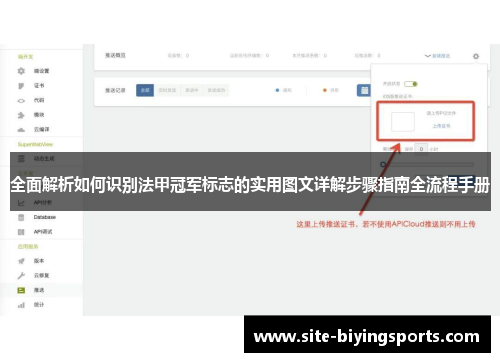 全面解析如何识别法甲冠军标志的实用图文详解步骤指南全流程手册 全面解析如何识别法甲冠军标志的实用图文详解步骤指南全流程手册