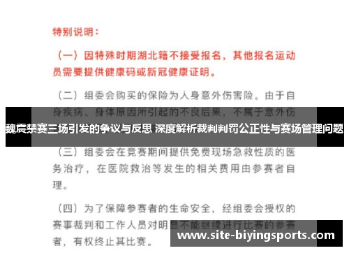 魏震禁赛三场引发的争议与反思 深度解析裁判判罚公正性与赛场管理问题